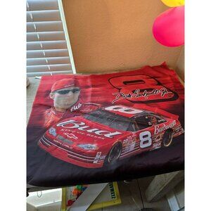 Dale Earnhardt jr banner Budweiser 25x30
